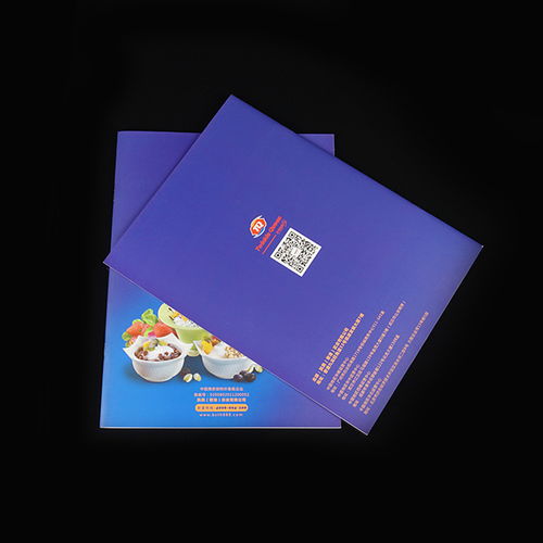 彩源印刷 公司畫(huà)冊(cè)印刷設(shè)計(jì)的懷化首選，品質(zhì)鑄就信賴